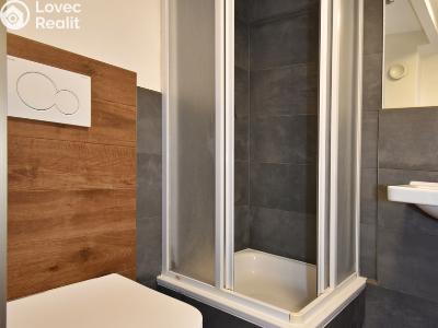 Prodej apartmánů Mladá Boleslav, Železná 31 č. 19