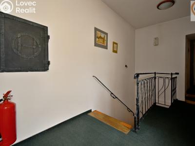 Prodej apartmánů Mladá Boleslav, Železná 31 č. 25
