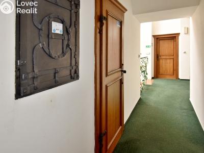 Prodej apartmánů Mladá Boleslav, Železná 31 č. 40