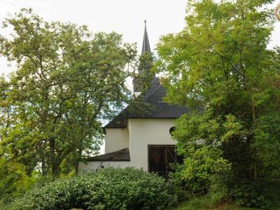 Sale historical properties Bystřany č. 13