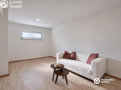 Продажа квартиры 1+1 Brno, Viniční č. 1