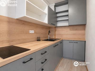 Продажа квартиры 1+1 Brno, Viniční č. 2
