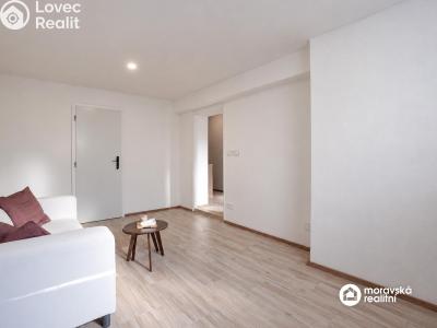 Продажа квартиры 1+1 Brno, Viniční č. 6