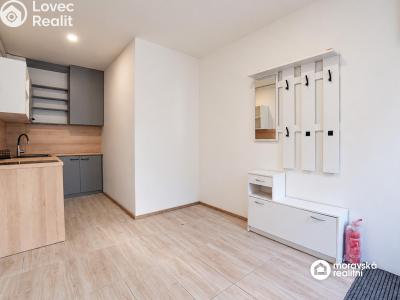 Продажа квартиры 1+1 Brno, Viniční č. 7