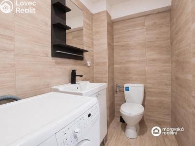 Продажа квартиры 1+1 Brno, Viniční č. 12