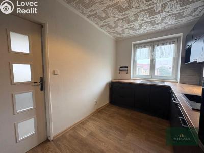 Продажа квартиры 3+1 Plzeň, Nepomucká č. 9