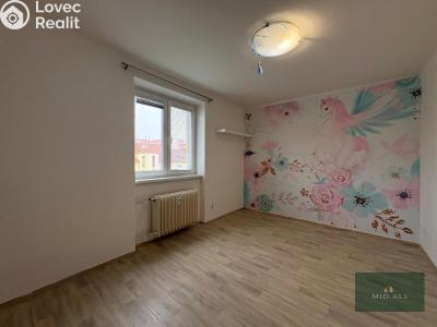 Продажа квартиры 3+1 Plzeň, Nepomucká č. 10