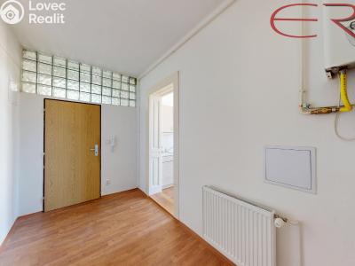 Rent apartment 2+1 Jablonec nad Nisou, U Jeslí č. 7
