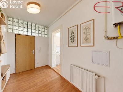 Rent apartment 2+1 Jablonec nad Nisou, U Jeslí č. 8