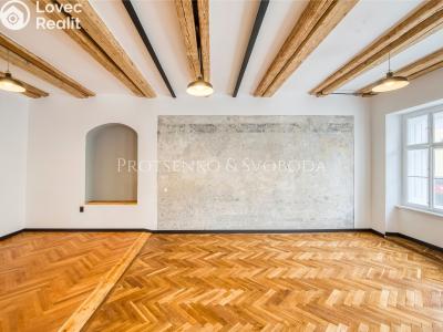 Pronájem obchodního prostoru Třebíč, Hasskova č. 11