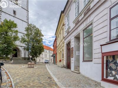 Pronájem obchodního prostoru Třebíč, Hasskova č. 15