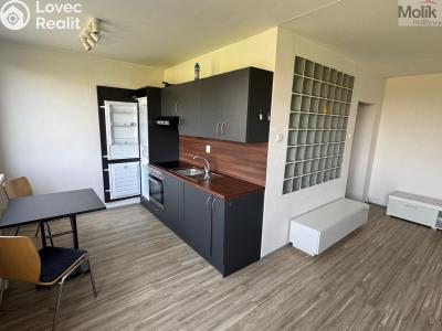Prodej bytu 1+1 Most, Javorová 3107 č. 1