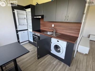 Prodej bytu 1+1 Most, Javorová 3107 č. 2