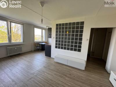 Prodej bytu 1+1 Most, Javorová 3107 č. 5
