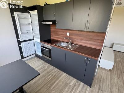 Prodej bytu 1+1 Most, Javorová 3107 č. 9