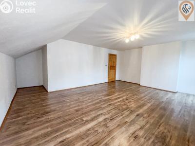 Sale family house Mikulov, Na hlavní č. 7