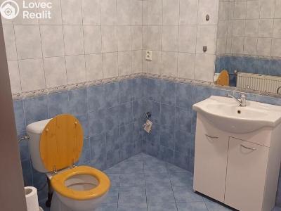 Rent apartment 3+KK Bělušice č. 9