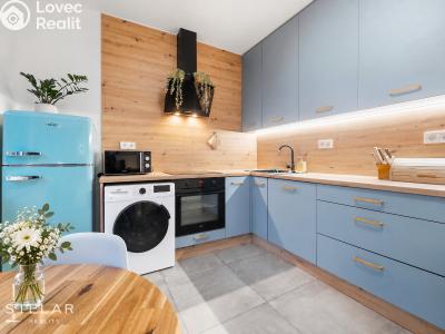 Продажа квартиры 1+1 Ostrava, Staňkova č. 1