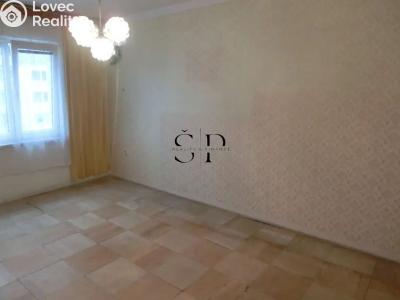 Rent apartment 2+1 Ostrov, S. K. Neumanna č. 5