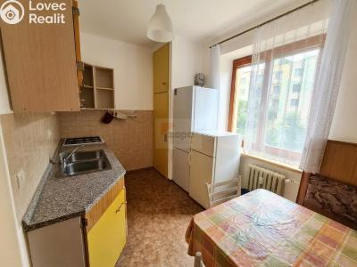 Rent apartment 1+1 Praha, Pod lipami č. 1