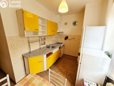 Rent apartment 1+1 Praha, Pod lipami č. 2