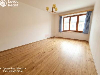 Rent apartment 1+1 Praha, Pod lipami č. 3