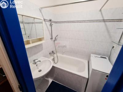 Rent apartment 1+1 Praha, Pod lipami č. 7