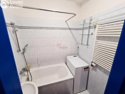 Rent apartment 1+1 Praha, Pod lipami č. 8