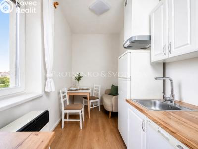 Sale apartment 1+1 Kolín, U Borků č. 3