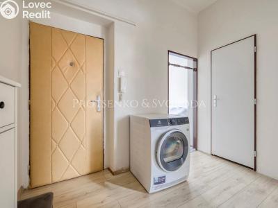 Sale apartment 1+1 Kolín, U Borků č. 8