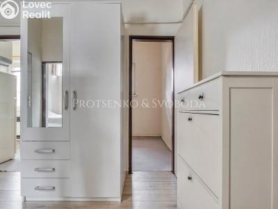 Sale apartment 1+1 Kolín, U Borků č. 11