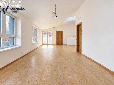 Продажа квартиры 3+KK Brno, Cejl č. 7