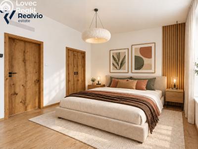 Продажа квартиры 3+KK Brno, Cejl č. 8