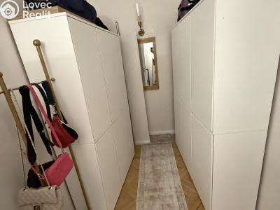 Pronájem bytu 2+1 Praha, Velehradská č. 7