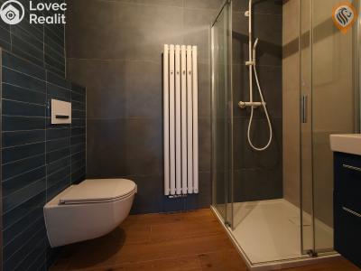 Sale apartment 2+1 Žacléř, Zámecká 92 č. 16