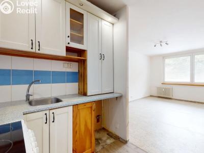 Продажа квартиры 2+KK Slaný, Vikova č. 6