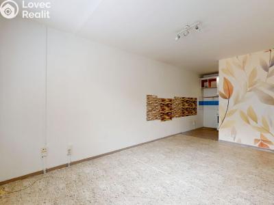 Sale apartment 2+KK Slaný, Vikova č. 3