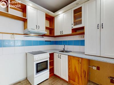 Sale apartment 2+KK Slaný, Vikova č. 5