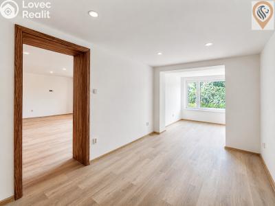 Sale family house Žacléř, Na Pilíři 396 č. 11