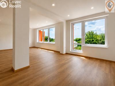 Sale family house Žacléř, Na Pilíři 396 č. 19