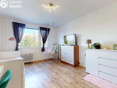 Prodej bytu 3+1 Chomutov, 17. listopadu č. 4