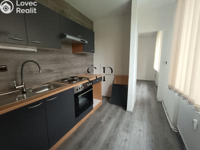 Rent apartment 3+1 Nová Ves č. 1
