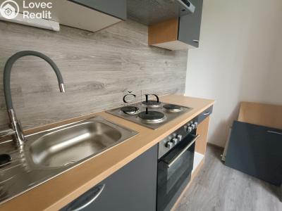Rent apartment 3+1 Nová Ves č. 2