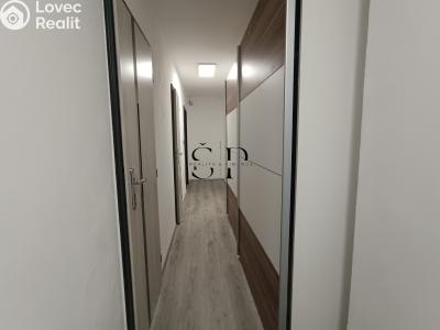 Rent apartment 3+1 Nová Ves č. 5
