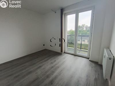 Rent apartment 3+1 Nová Ves č. 7
