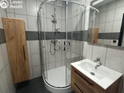 Rent apartment 3+1 Nová Ves č. 9