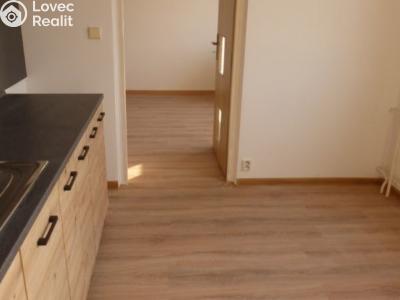 Rent apartment 2+1 Chomutov, Jirkovská č. 3