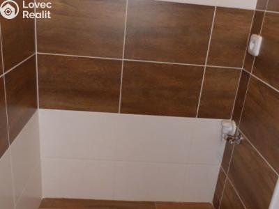 Rent apartment 2+1 Chomutov, Jirkovská č. 13