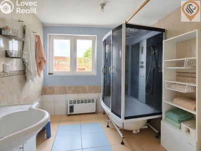 Prodej rodinného domu Dolní Bousov, Kolonie č. 12