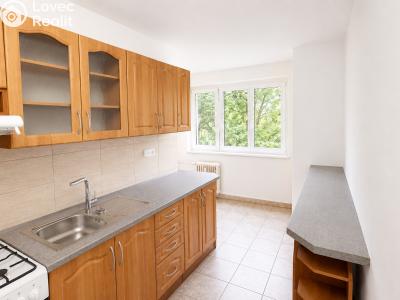 Оренда квартири 2+1 Klatovy, Pod Koníčky č. 3